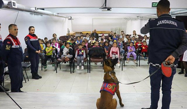 Jandarma ekipleri hayvanları koruma günüyle ilgili etkinlik gerçekleştirdi