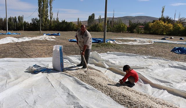 Tüccarın fırsatçılığı çiftçiyi mağdur ediyor