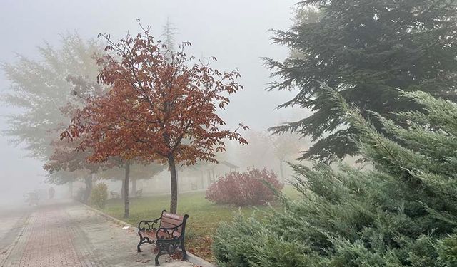 Eskişehir’de sabah saatlerinde sis etkili oldu