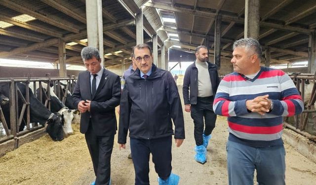 Dönmez: Eskişehir'de mezbaha olmaması büyük bir eksikliktir