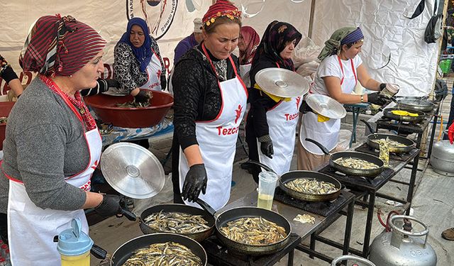 Bodrum'da hamsi ziyafeti: 3 ton hamsi dağıtıldı