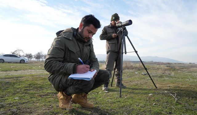 "Ekosistemdeki bozulma kuş popülasyonlarına yansıyor"