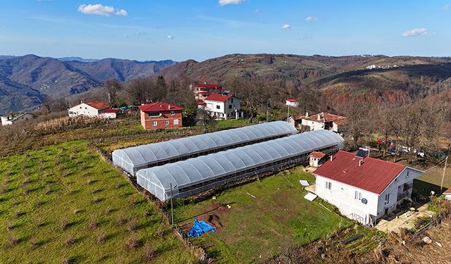 Ordu'da üreticilere sera naylonu desteği