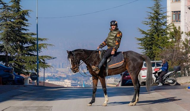 Başkent sokaklarında gezen bir at