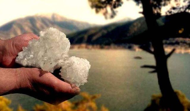 Enerji ve Tabii Kaynaklar Bakanlığı: Borda tarihi rekor