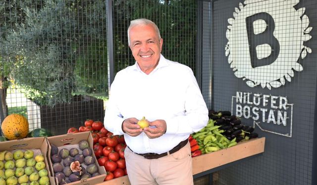 Nilüfer Bostan Şubeleri Franchising ile Büyüyor