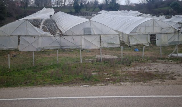 Sinop'ta  fırtına seralara zarar verdi