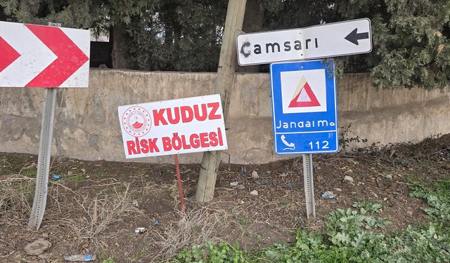 Hatay'da kuduz Köpek saldırısı, mahalle karantinaya alındı