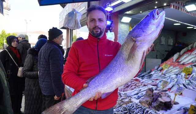 Karadeniz’de 120 santimlik dev minekop avlandı, 6 bin TL’ye satıldı