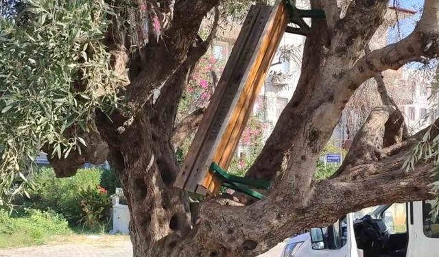 Kamusal alanları tahrip eden şahıslar cezasız kalmadı