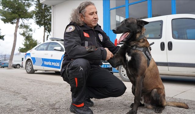 Isparta Emniyetinin Göz Bebeği "Milon" Üçüncü Kez Ayın Narkotik Köpeği Seçildi