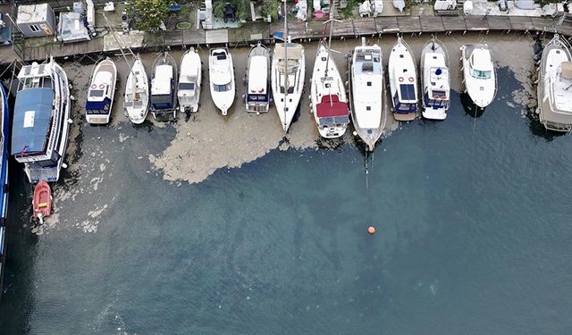 Müsilaj Sorunu Marmara Denizi'nde Devam Ediyor