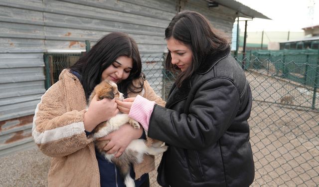 Pati Yaşam Köyü'ndeki hayvanların ziyareti 4 güne çıktı