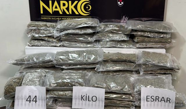 Sakatat parçalarının arasına zulalanmış 44 kilo esrar ele geçirildi