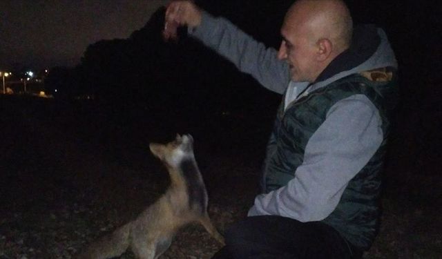 Polis Memuru ile Tilkinin 6 Aylık Dostluğu