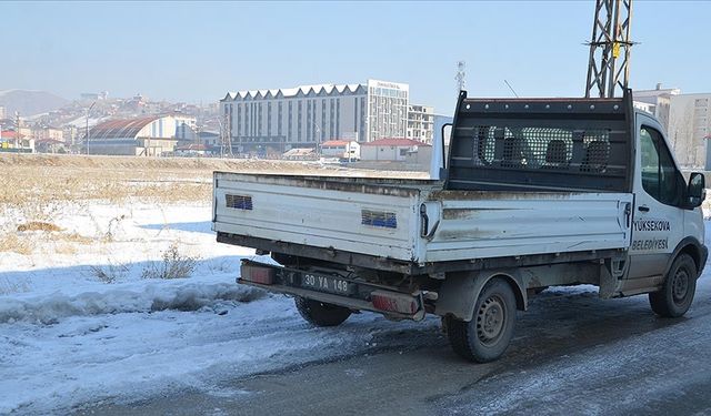 Hakkari'de Sahipsiz Köpeklerin Saldırısı Sonrası Çalışmalar Başlatıldı