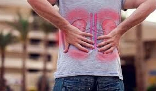 Yaz Sıcağında Böbrek Sağlığını Korumak İçin 8 Önemli Kural