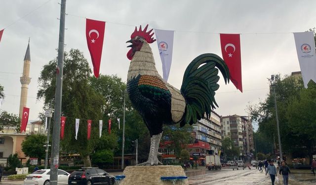 Denizli Horozu doludan nasibini aldı