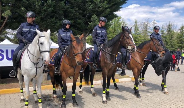 Yunus'un diyarına gelen atlı Jandarmalar, vatandaşların ilgisini topladı