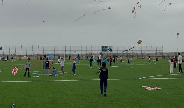 Mahmudiye’de uçurtma şenliği coşkusu yaşandı
