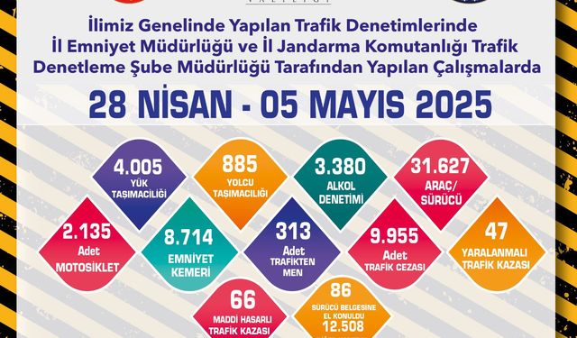 313 araç trafikten men edildi