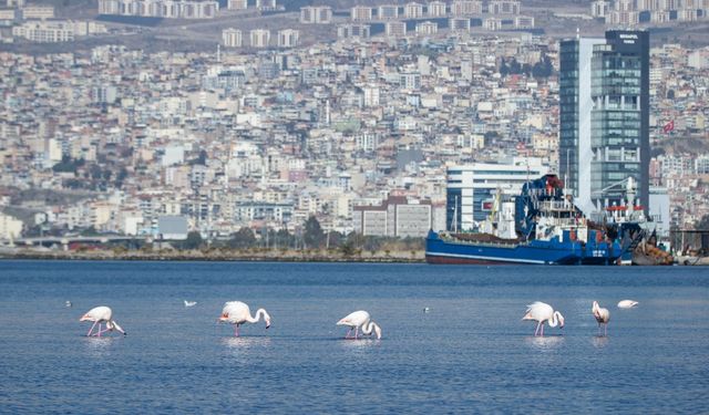 İzmir’in iklim eylemi çalışmaları Avrupa gündeminde