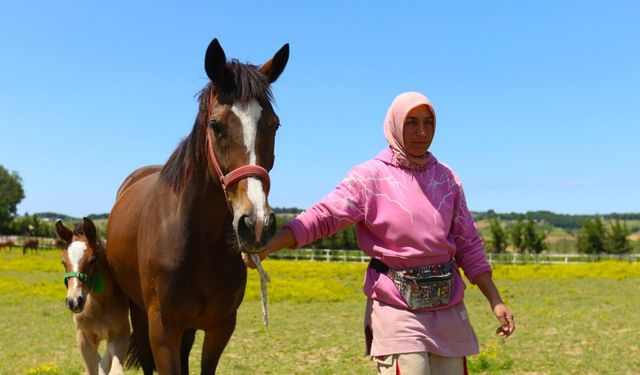Milyonluk Atların Annesi: Hakime Kahraman’ın Hikayesi