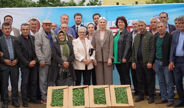 Bilecik Belediyesinin Çiftçilere Fide Desteği Devam Ediyor Son Üç Yılda 1 Milyon 700 Bin Fide Dağıtıldı