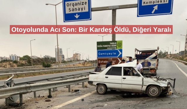 Trafik kazası: İki kardeşten biri öldü, diğeri yaralandı