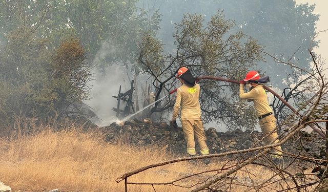 3 evin yandığı köyde müdahale devam ediyor
