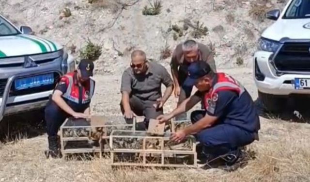 142 saka kuşu doğaya bırakıldı