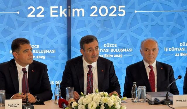 "TL'ye olan güven artmış durumda"