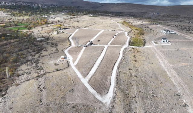 Tarıma elverişli olmayan araziler üretime kazandırılıyor