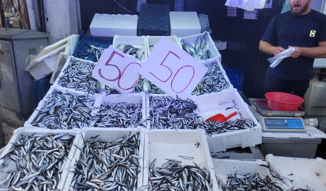 Tezgahlarda hamsi bolluğu yaşanıyor