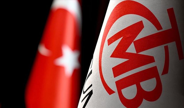 Türkiye'nin Dış Varlıkları 386,9 Milyar Dolara Ulaştı!