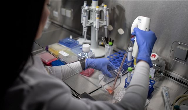 Tıbbi araştırmalara düşük katılım tedavileri sınırlayabilir!