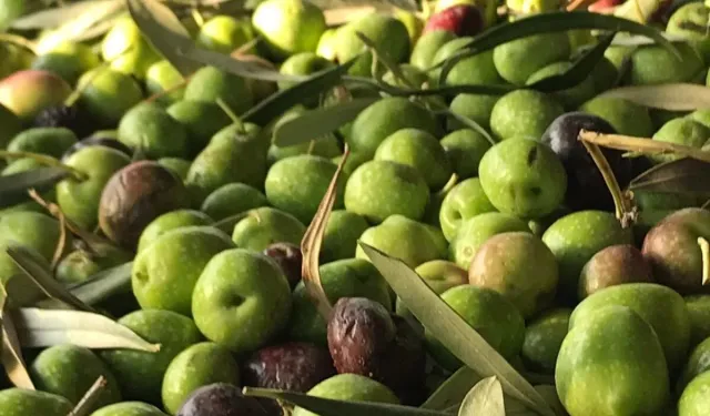 Antalya’nın sıvı altını yarışacak