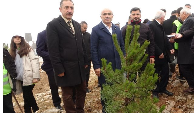 Beydağı'nın etekleri 10 bin 444 ağaçla geleceğe nefes oldu