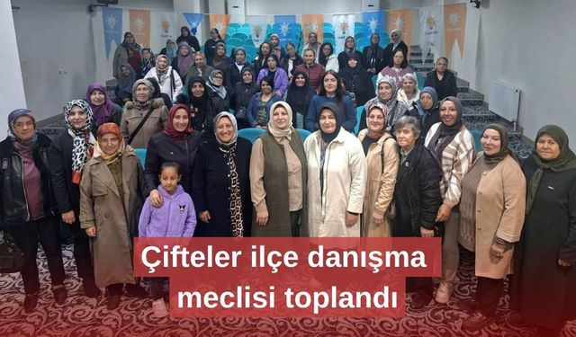 Çifteler ilçe danışma meclisi toplandı