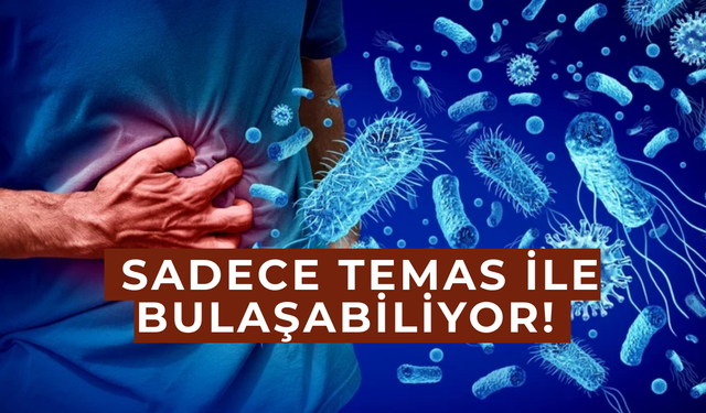 Kışın Gelen Sinsi Tehlike: Norovirüs