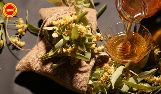 Bakan Yumaklı: Yenice Ihlamur Balı AB’den Tescil Alan 43. Ürün