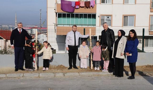 Ticaret ve Sanayi Odası 30 adet meyve fidanı dikti