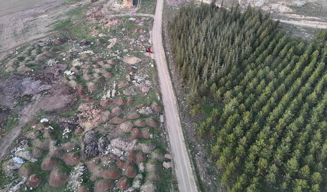 Bir yanda yeşillik diğer yanda çöplük