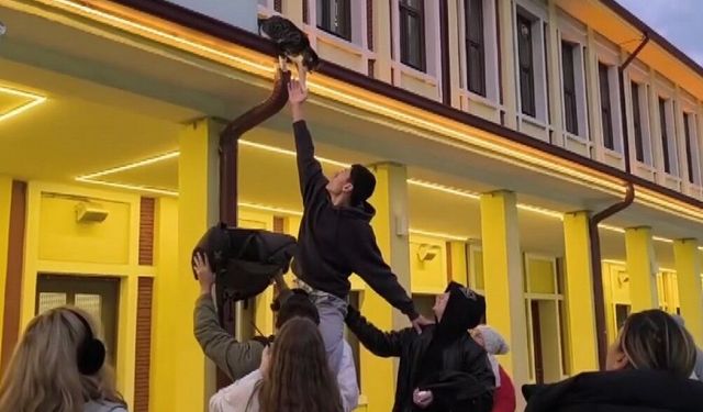 Gençlerin 'başarısız' kedi kurtarma operasyonu kamerada