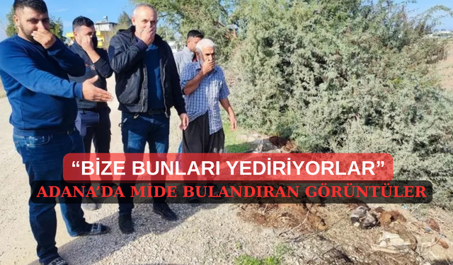 Adana'da iğrenç görüntüler! Dere kenarı atık mezarlığına döndü