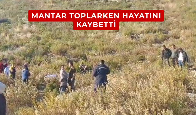 Mantar toplarken hayatını kaybetti