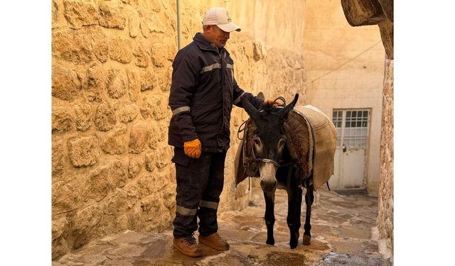 Kadrolu eşekler emekli olacak