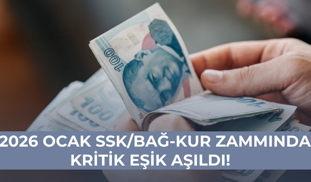 EMEKLİNİN BEKLEDİĞİ TABLO