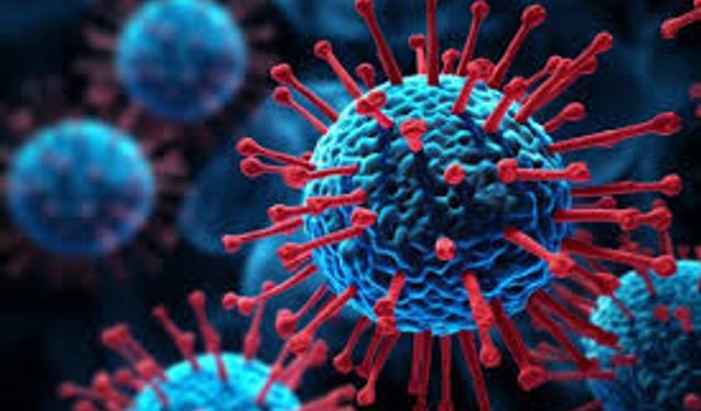 Uzmanından uyarı: "H3N2, ölümle dahi sonuçlanabilen ve mutlaka ciddiye alınması gereken bir hastalıktır"