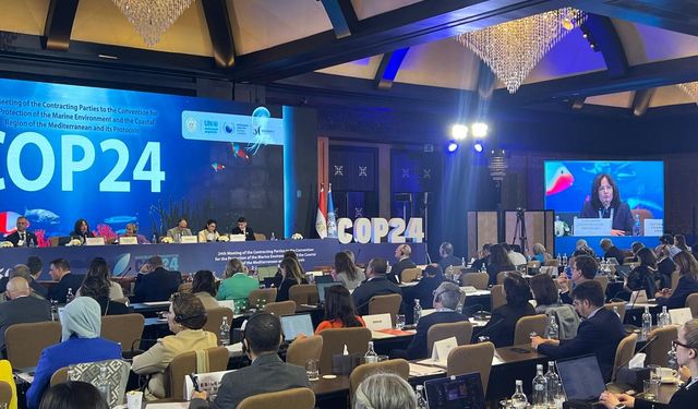 Türkiye, Akdeniz'de iklim değişikliği ile mücadelede de lider ülke olacak